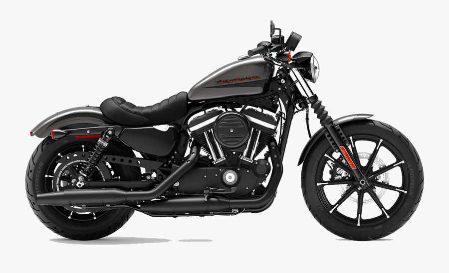 Bud S Harley Davidson - Harley Davidson 883 Iron 2019, Transparent Clipart
