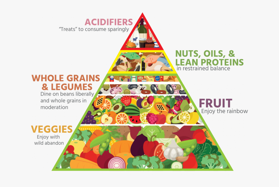 Food Pyramid Transparent - Healthy Food Pyramid Transparent, Transparent Clipart