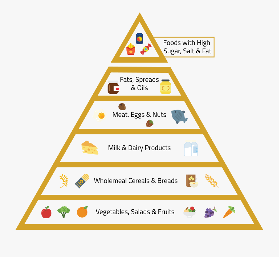 The Pyramid Bifurcates The Different Food Groups And - Hierarchy Of Operations Math, Transparent Clipart
