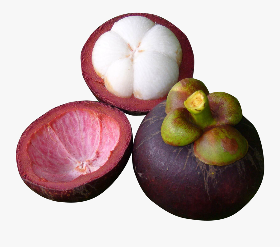 Food Pyramid, Png Photo, Vector Free, Airplanes, Remedies, - Purple Mangosteen, Transparent Clipart