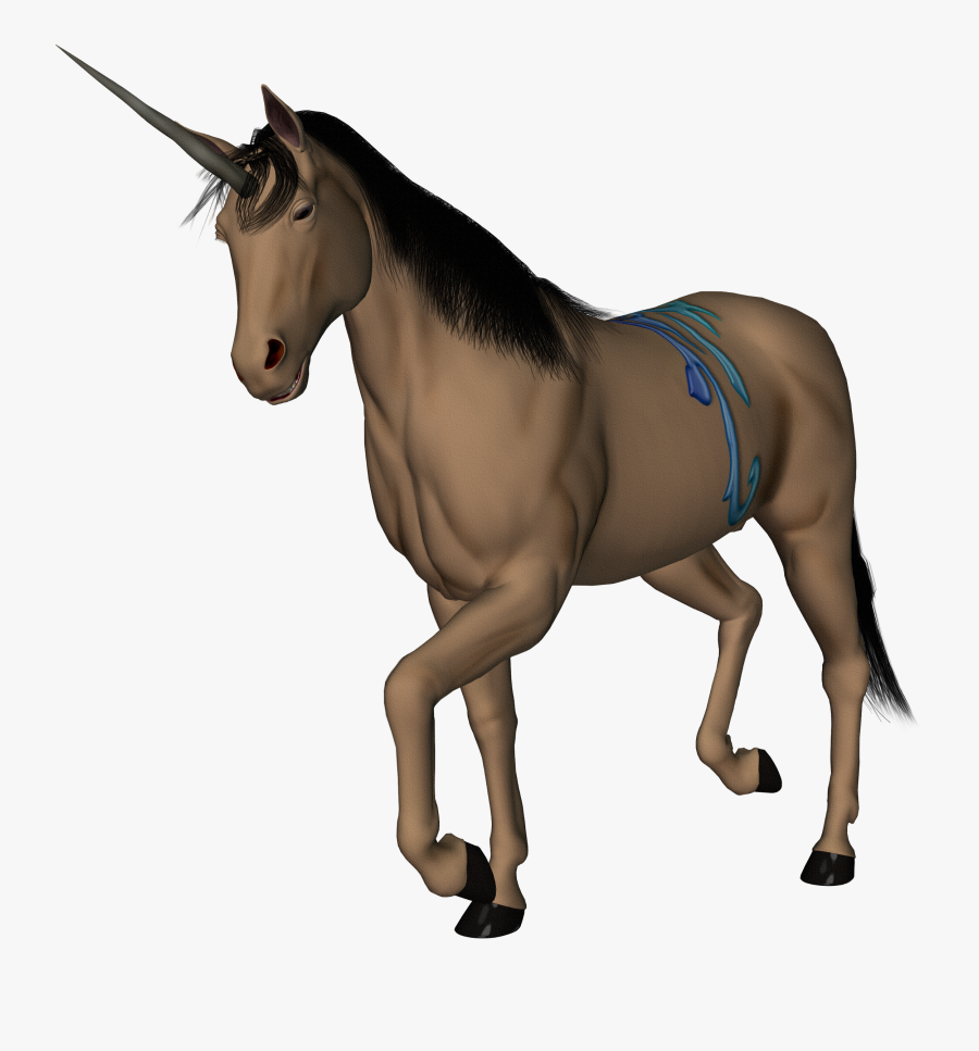 Transparent Horse Face Clipart - Bronco Animal, Transparent Clipart