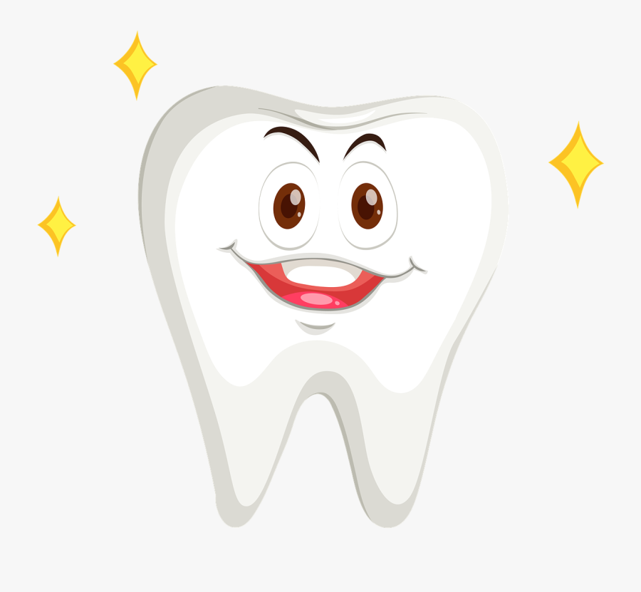 Tooth, Calcified, Jaws, Fossil, Root, Teeth, Predator - Dente Png, Transparent Clipart