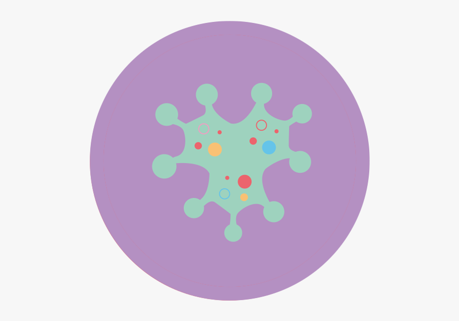 Circle, Transparent Clipart