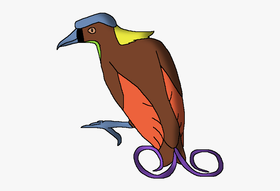 Wildlife Animal Pedia Wiki - Penguin, Transparent Clipart