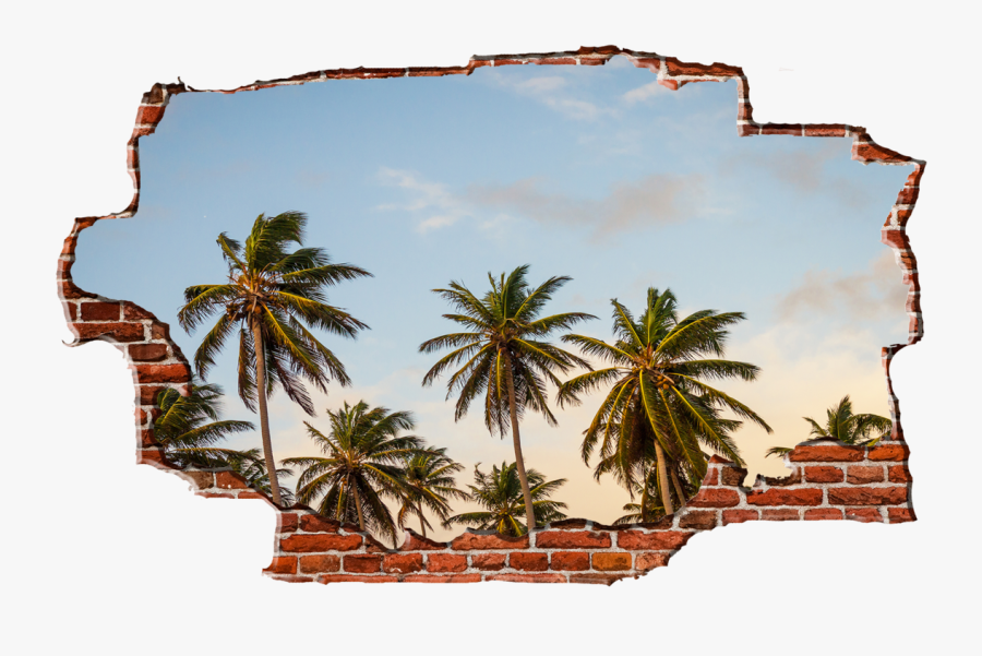 Clip Art Island Breaking Wall Nature - Happy Friday With Palm Trees, Transparent Clipart