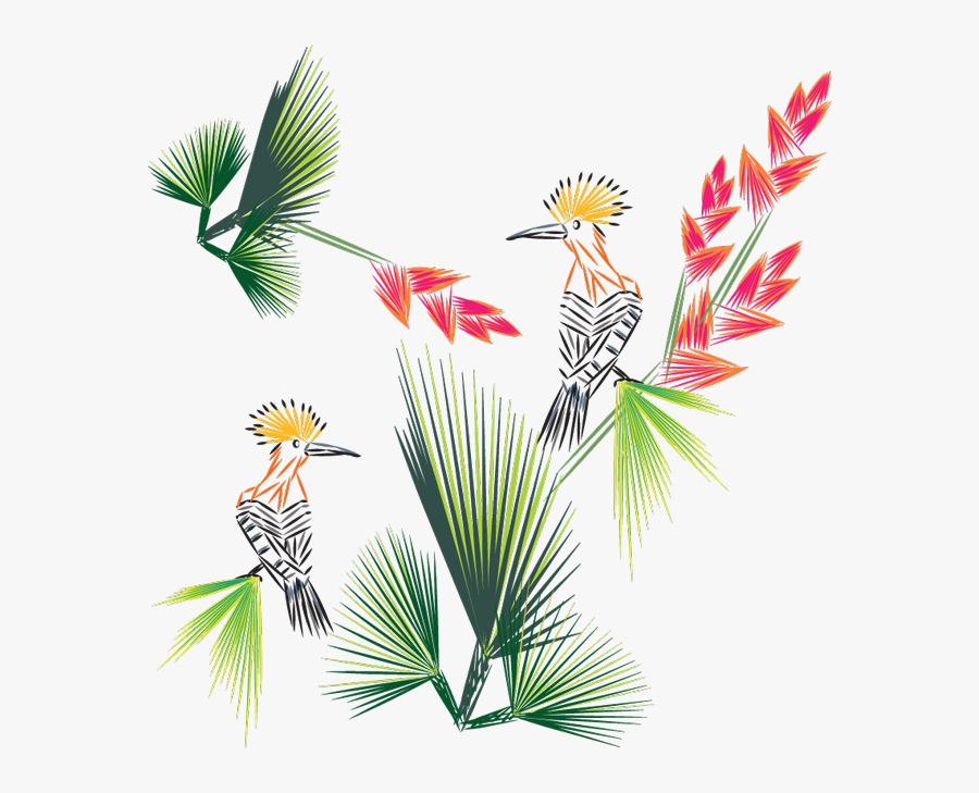 Birds Of Paradise Interiors - Cockatoo, Transparent Clipart