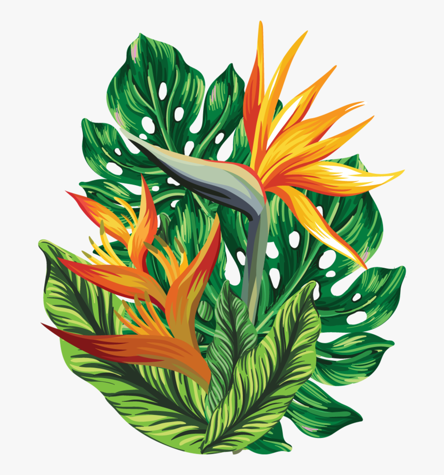 Illustration, Transparent Clipart