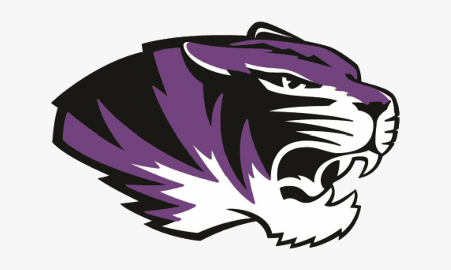 The Paradise Panthers Vs - Missouri Tigers, Transparent Clipart