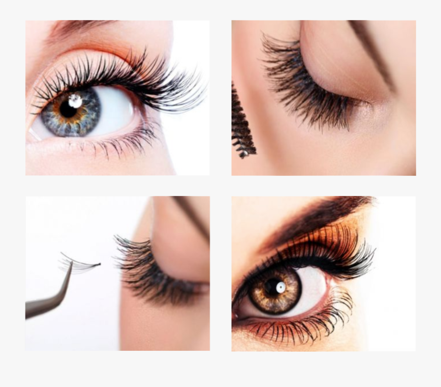 Transparent Eye Lash Png - Lash Me Eyelash Extensions, Transparent Clipart