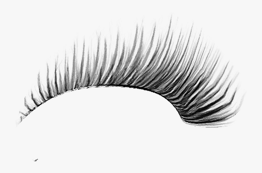 Download Free Png Eyelash Png, Download Png Image With - Transparent Background Eyelash Png, Transparent Clipart