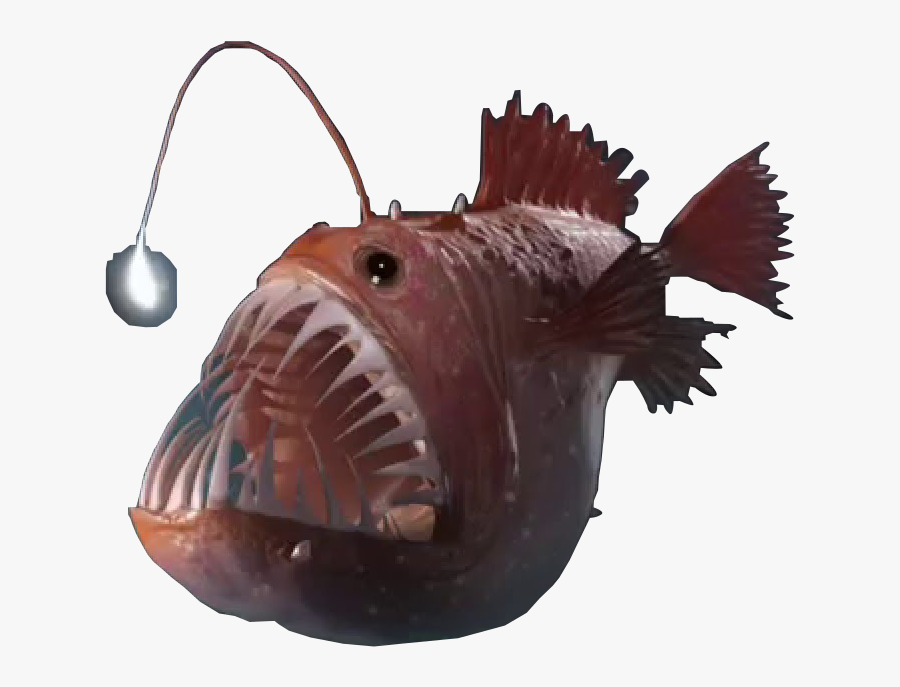 Angler Fish Png 8 » Png Image - Deep Sea Angler Fish Transparent, Transparent Clipart