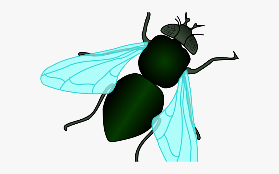 Flies Huge Freebie Download For Powerpoint Ⓒ - Fly Clipart, Transparent Clipart