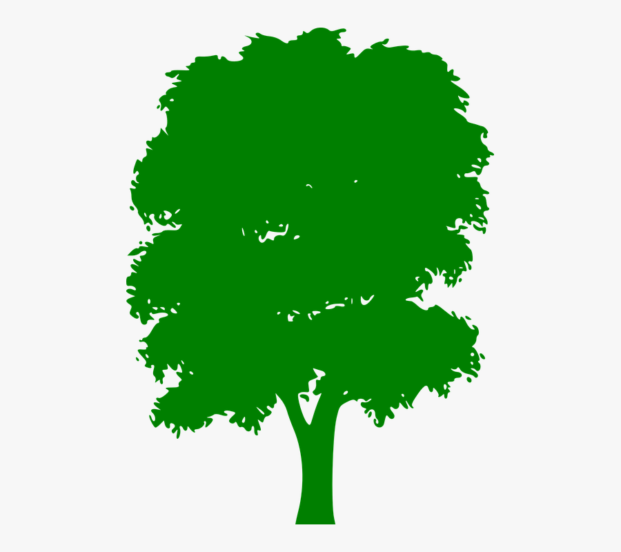 Tree, Green, Plain, Nature, Wood, Outside, Silhouette - Vector Green Tree Png, Transparent Clipart