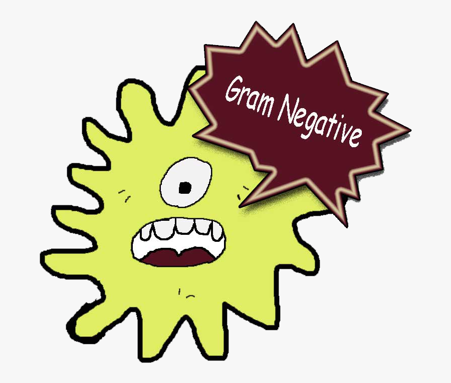 Last Semester I Felt That The Best Class I Taught Was - Gram Negative Bacteria Clipart, Transparent Clipart