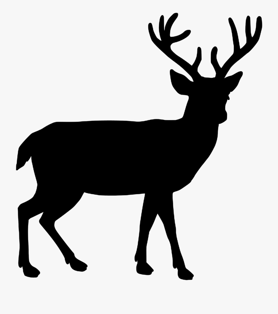 Tos Privacy Contact Us Jobs - Deer Silhouette Transparent Background, Transparent Clipart