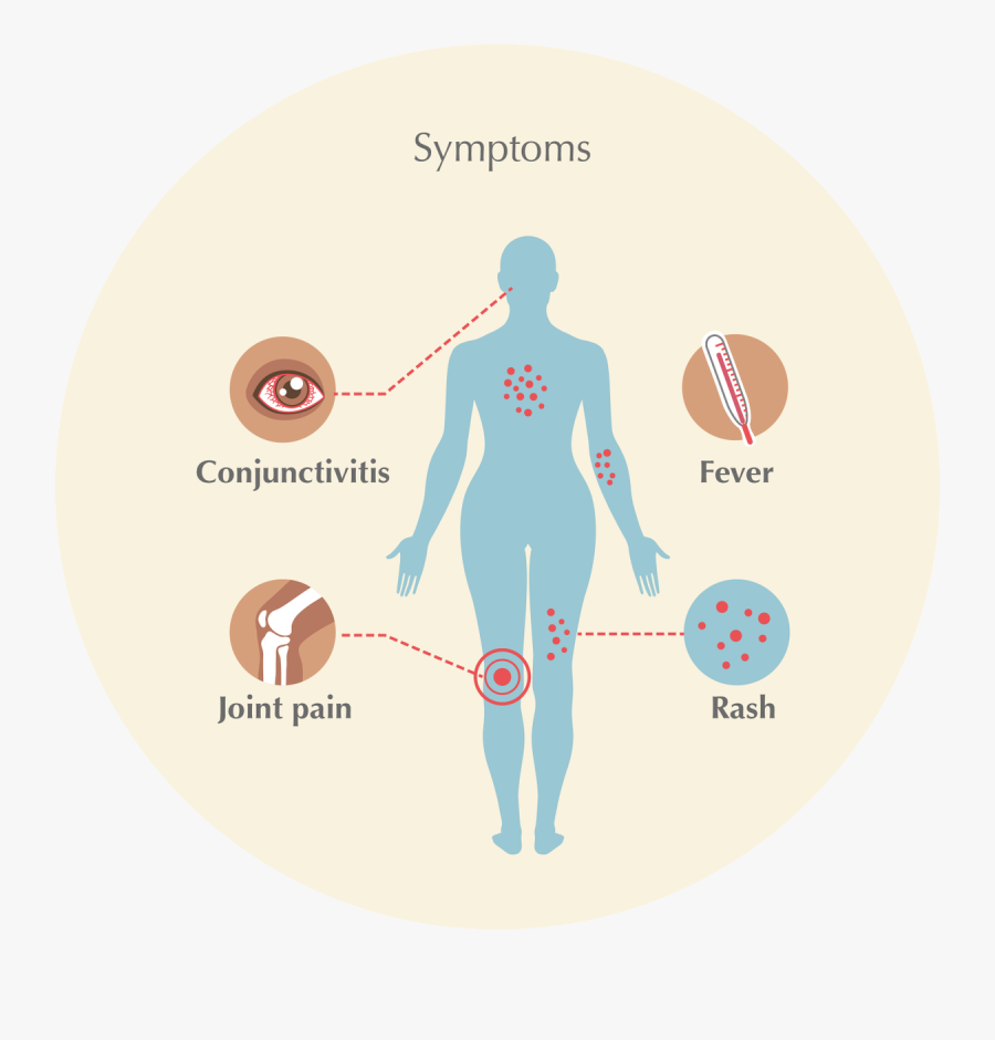 Male Symptoms Of Zika Virus, Transparent Clipart