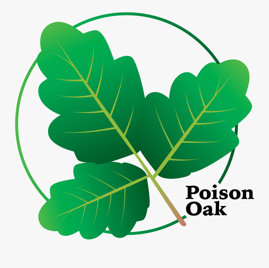 Poison Oak Clipart, Transparent Clipart