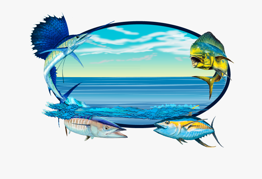 Sailfish Clipart Wahoo , Png Download - Sail Fish Clip Art, Transparent Clipart