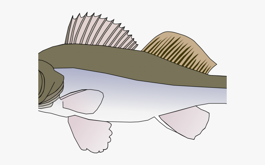 Transparent Sailfish Clipart - Big Fish Clip Art, Transparent Clipart
