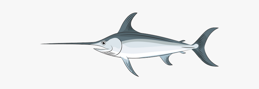 Swordfish, Transparent Clipart