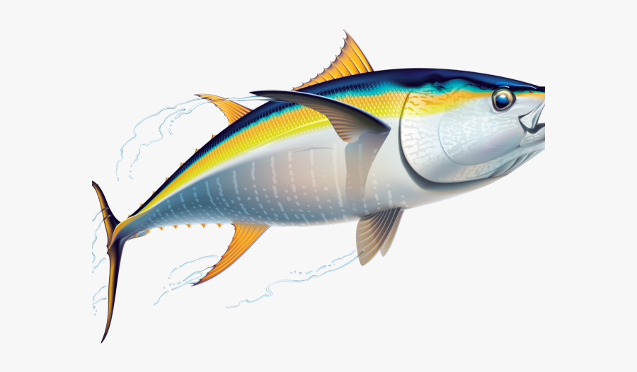 Tuna Clipart, Transparent Clipart