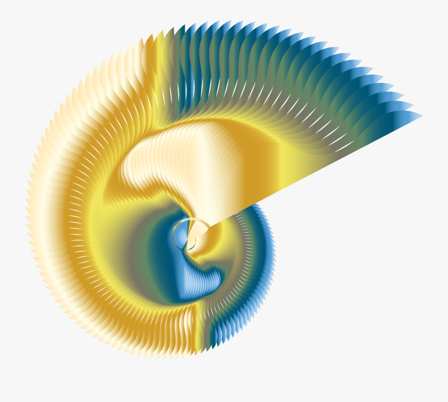 Colorful Nautilus Line Art 2 Clip Arts - Illustration, Transparent Clipart