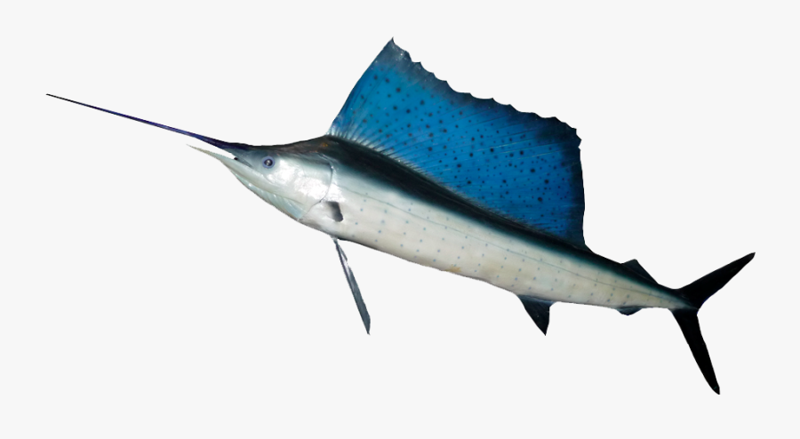 Sailfish Swordfish, Transparent Clipart