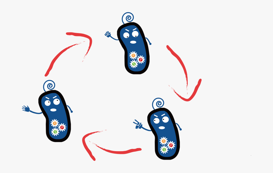 Clip Art, Transparent Clipart