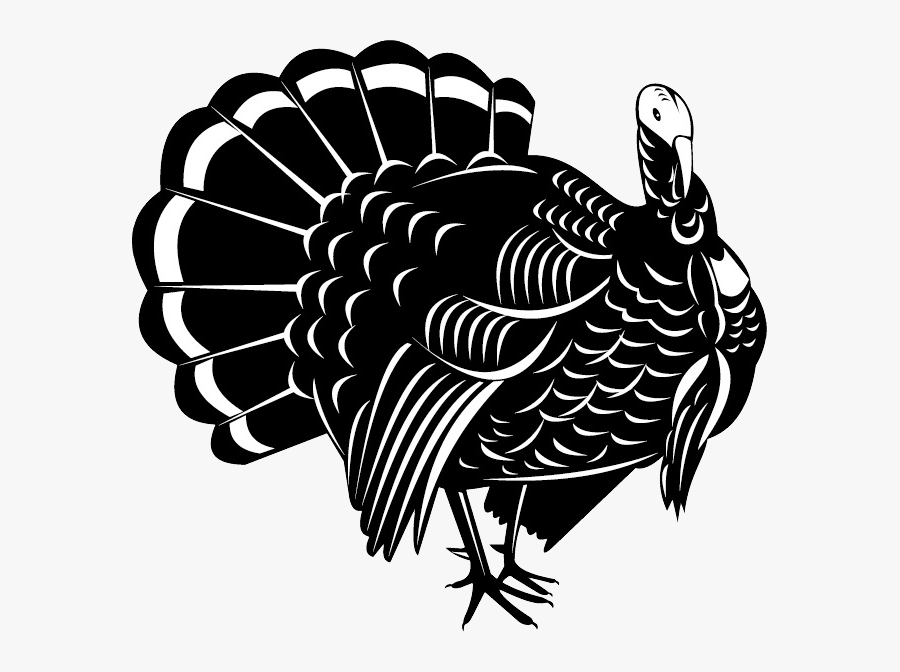 Turkey Bird Png Image With Transparent Background - Turkey Vector, Transparent Clipart