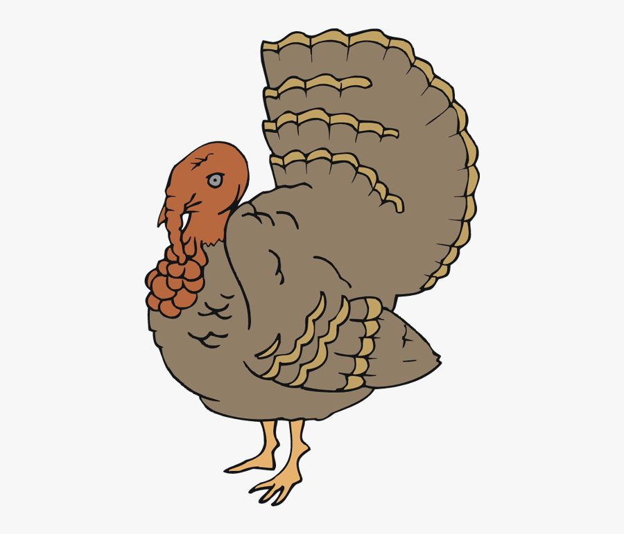 Free Turkey Clipart - Turkey, Transparent Clipart