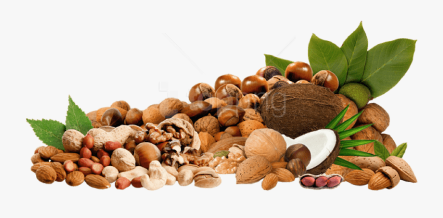 Nuts And Seeds Png, Transparent Clipart