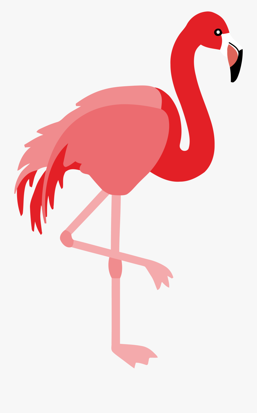 Flamingo Clipart Png - Flamingo Bird Clipart, Transparent Clipart