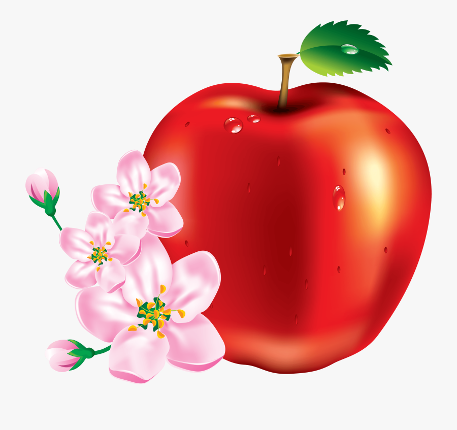 50 Red Apple Png Image Clipart Image - Apple Fruit Flower, Transparent Clipart