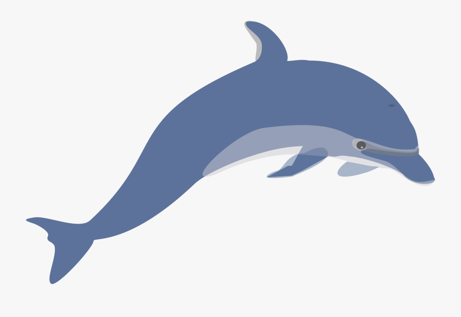 Free Dolphin Clipart Full Page Background Clipart Collection - Transparent Background Dolphin Clip Art, Transparent Clipart