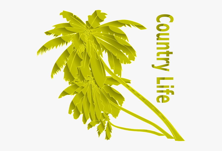 Palm Leaf Png Pink, Transparent Clipart