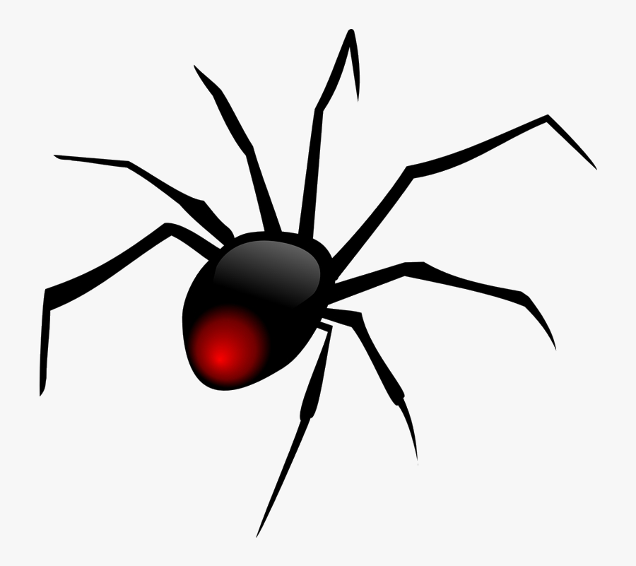Spider Black Widow Clip Art Clipart Transparent Png - Black Widow Spider, Transparent Clipart