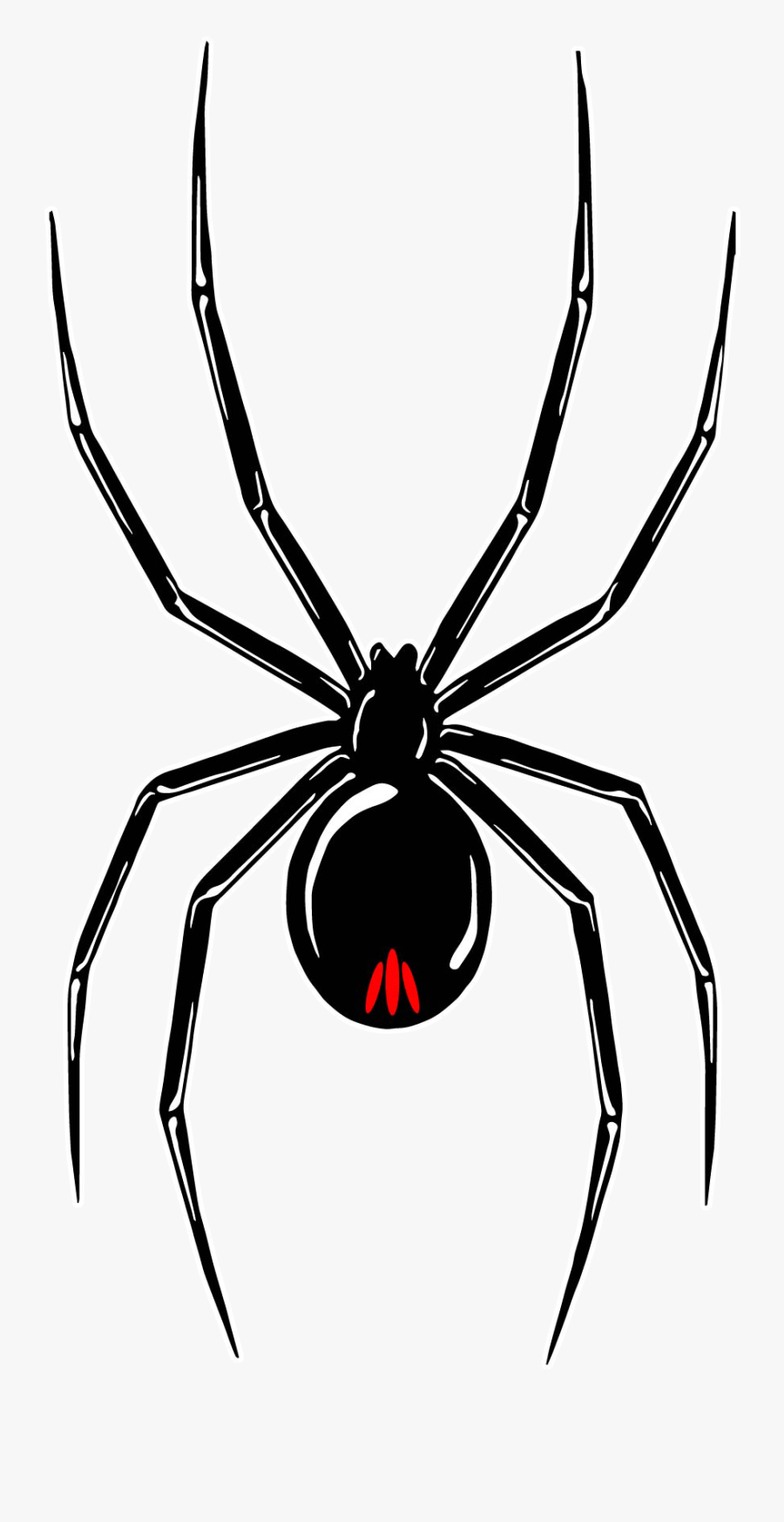 Black Widow Tour - Black Widow Spider Stencil, Transparent Clipart