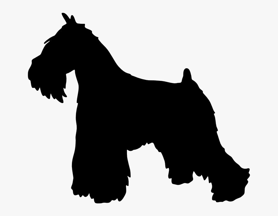 Miniature Schnauzer Scottish Terrier English Mastiff - Schnauzer Silhouette, Transparent Clipart