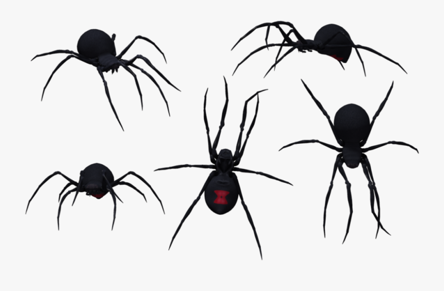 Transparent Black Widow Spider Png - Black Widow Spiders Clip Art, Transparent Clipart