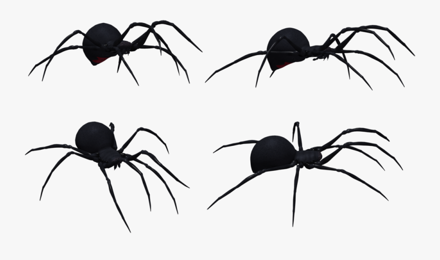 Black Widow Spider Set 03 By Free Stock By Wayne On - Black Widow Spider Profile, Transparent Clipart