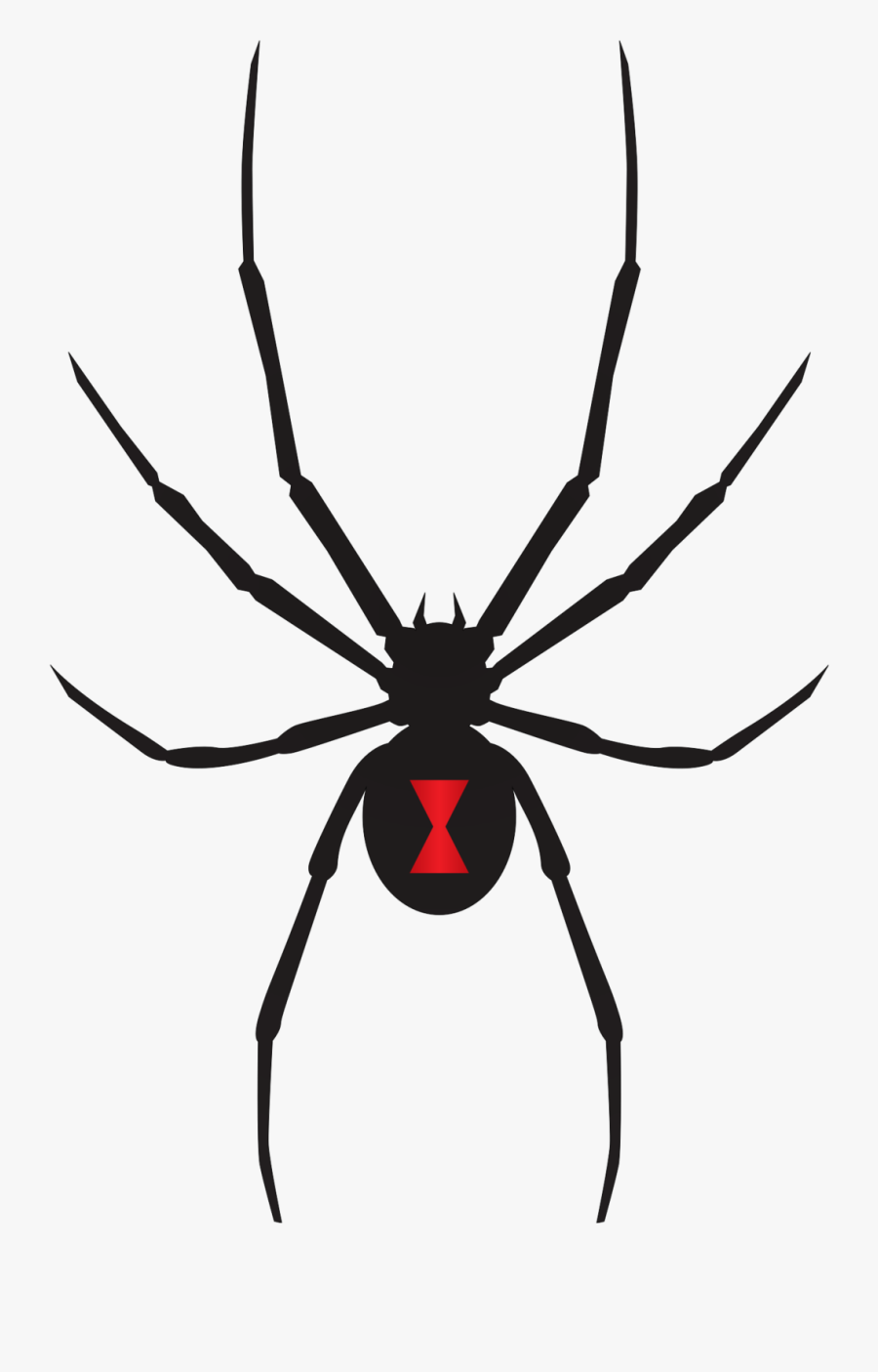Transparent Widow Clipart - Black Widow Spider Clipart Cute, Transparent Clipart