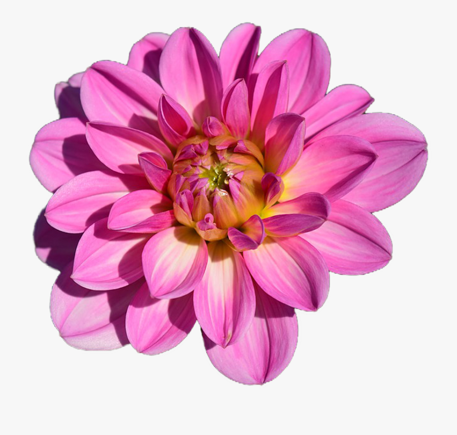 Happy Wednesday Images Hd, Transparent Clipart