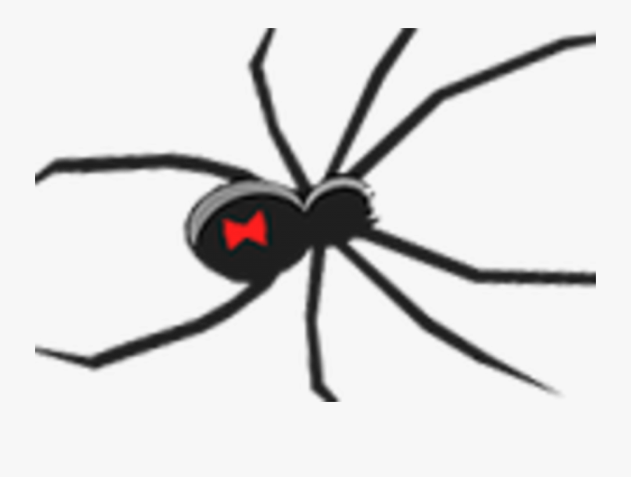 Transparent Halloween Spider Png - Black Widow Clip Art, Transparent Clipart