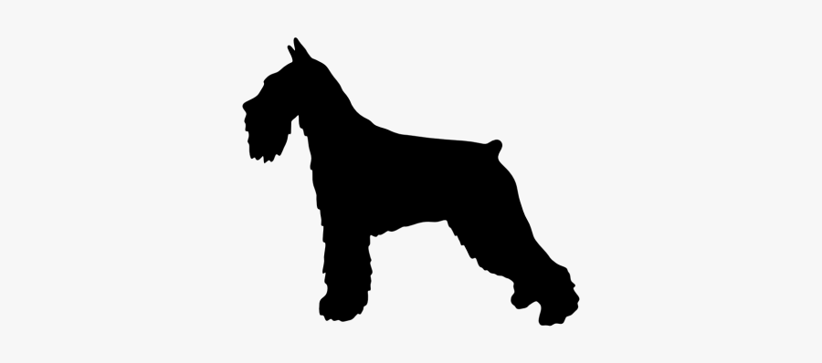 Miniature Schnauzer Lakeland Terrier Dog Breed Giant - Silueta Schnauzer Png, Transparent Clipart