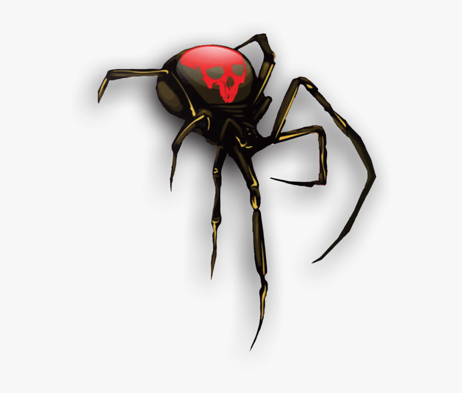 Bug, Transparent Clipart