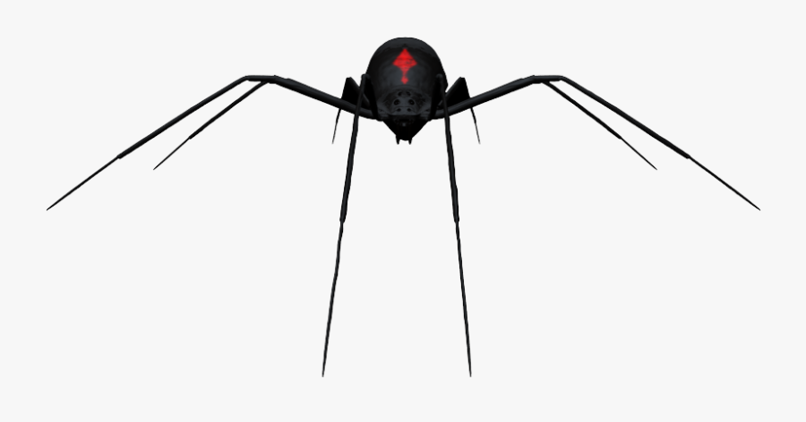 Transparent Black Widow Spider Png - Ant, Transparent Clipart