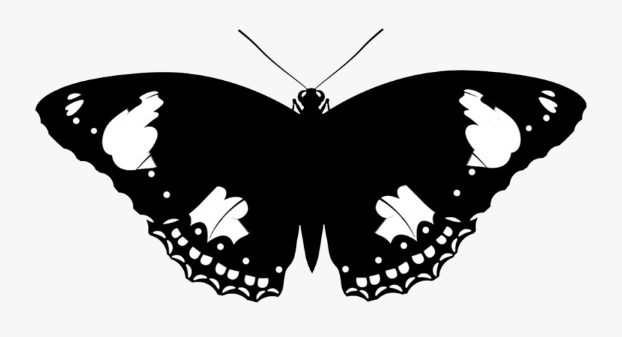 Butterfly Silhouette - Butterfly Vector Free, Transparent Clipart