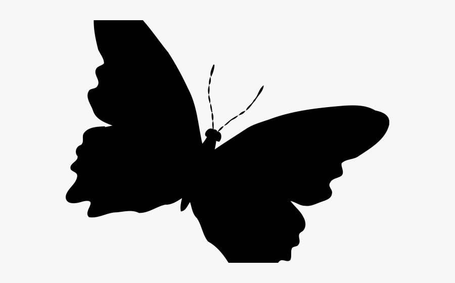 Transparent Moth Clipart - Black Butterfly On A White Background, Transparent Clipart
