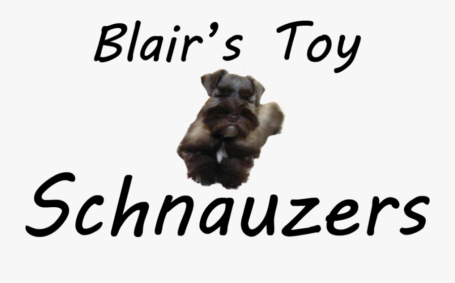 Transparent Schnauzer Png - Gandhinagar, Transparent Clipart