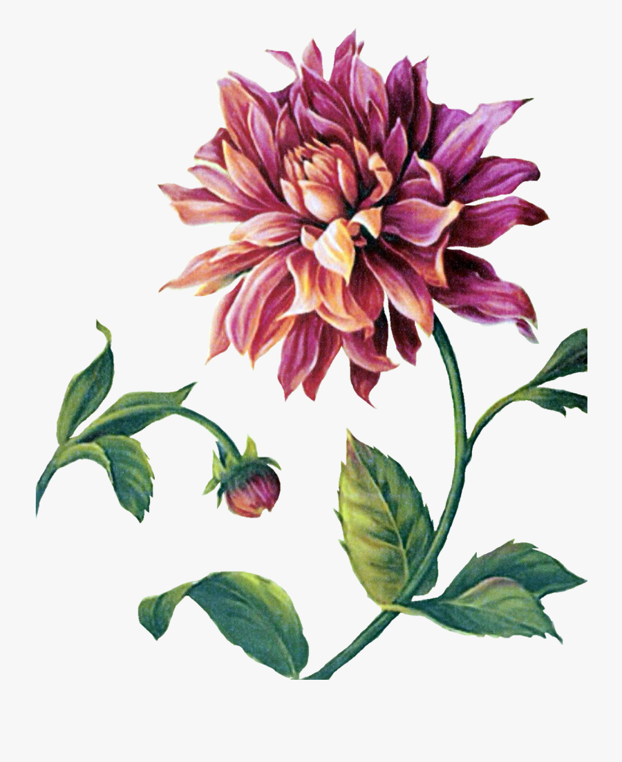 Painting, Transparent Clipart